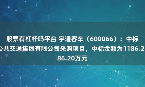 股票有杠杆吗平台 宇通客车（600066）：中标威海公共交通集团有限公司采购项目，中标金额为1186.20万元